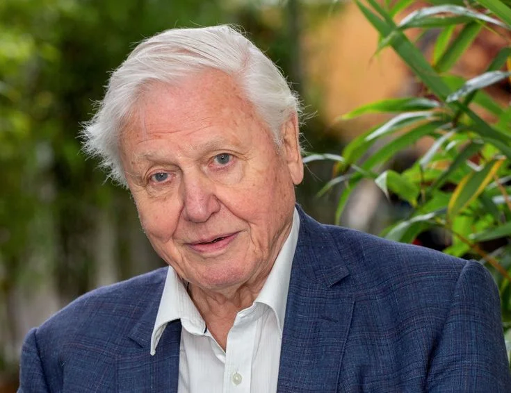 David Attenborough Net Worth: Awards and Recognition