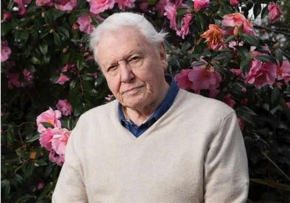 David Attenborough Net Worth: Comparison with Other Broadcasters