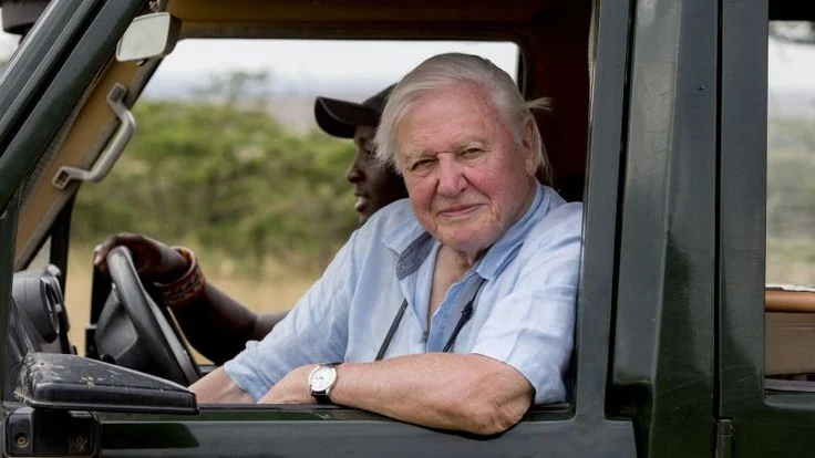 How Netflix Boosted David Attenborough Net Worth