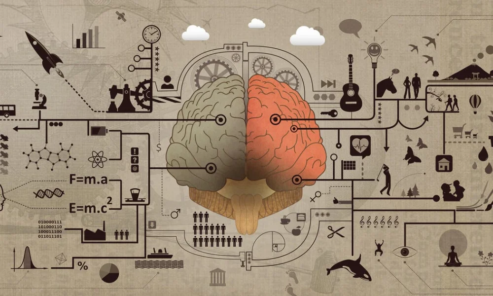 Creative Mindset vs Innovator Mindset vs Entrepreneurial Mindset