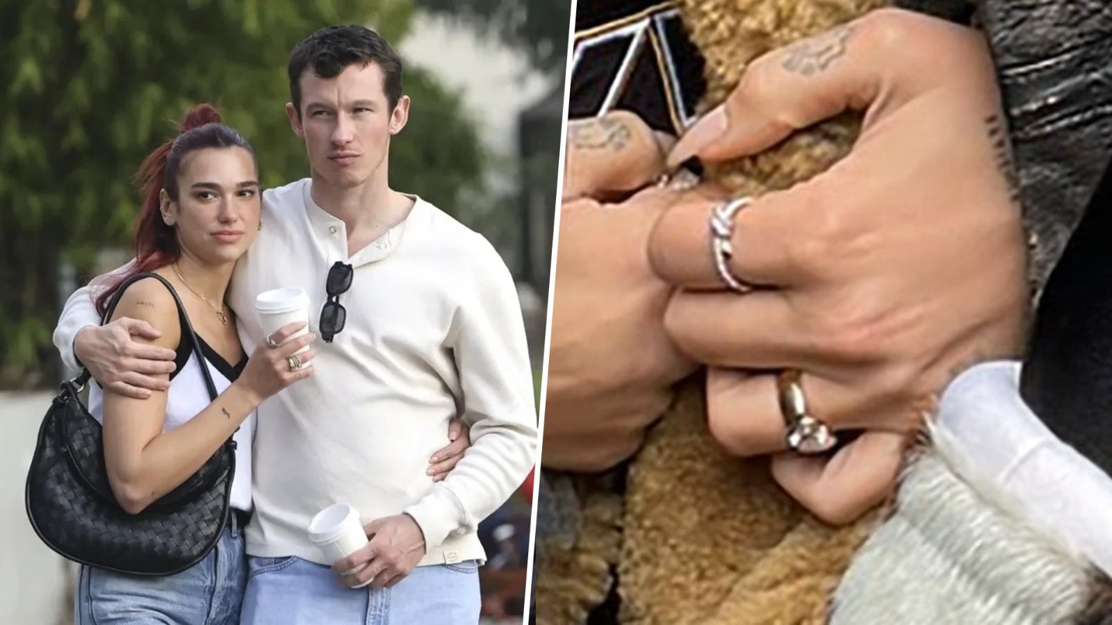 The Proposal and Engagement