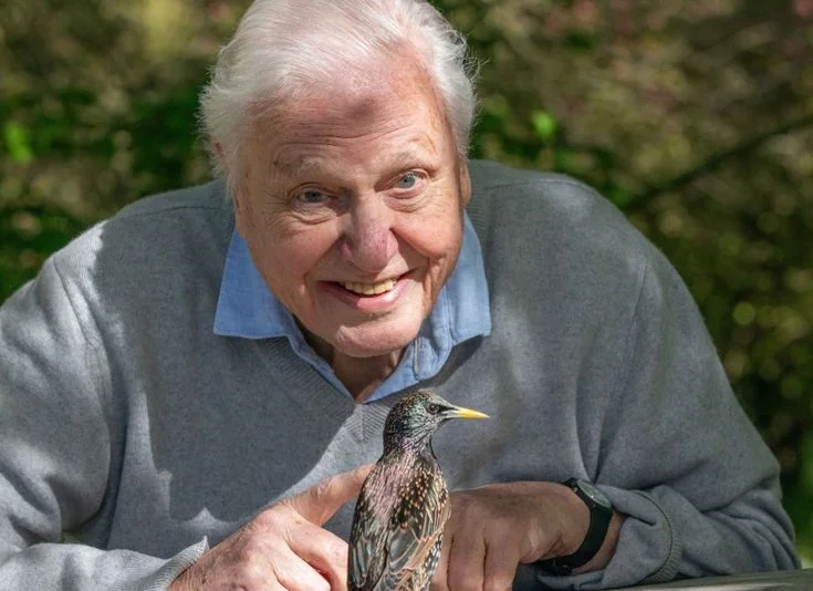 David Attenborough Net Worth