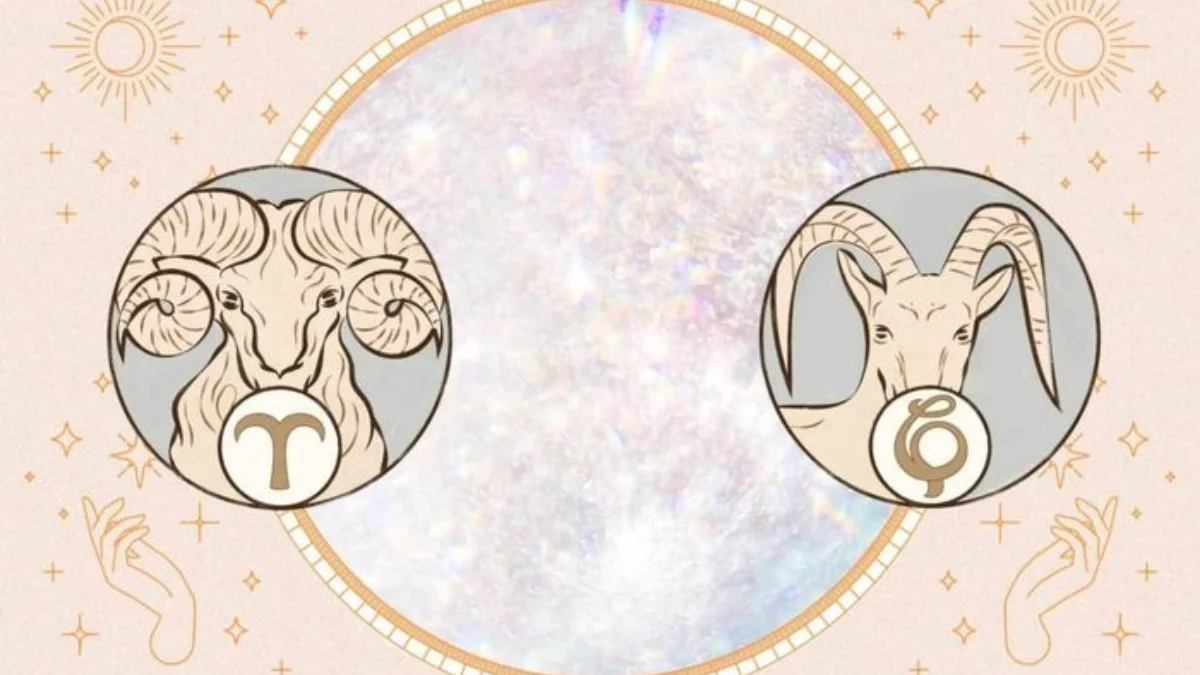 January Zodiac: Capricorn and Aquarius Signs, Dates and Traits
