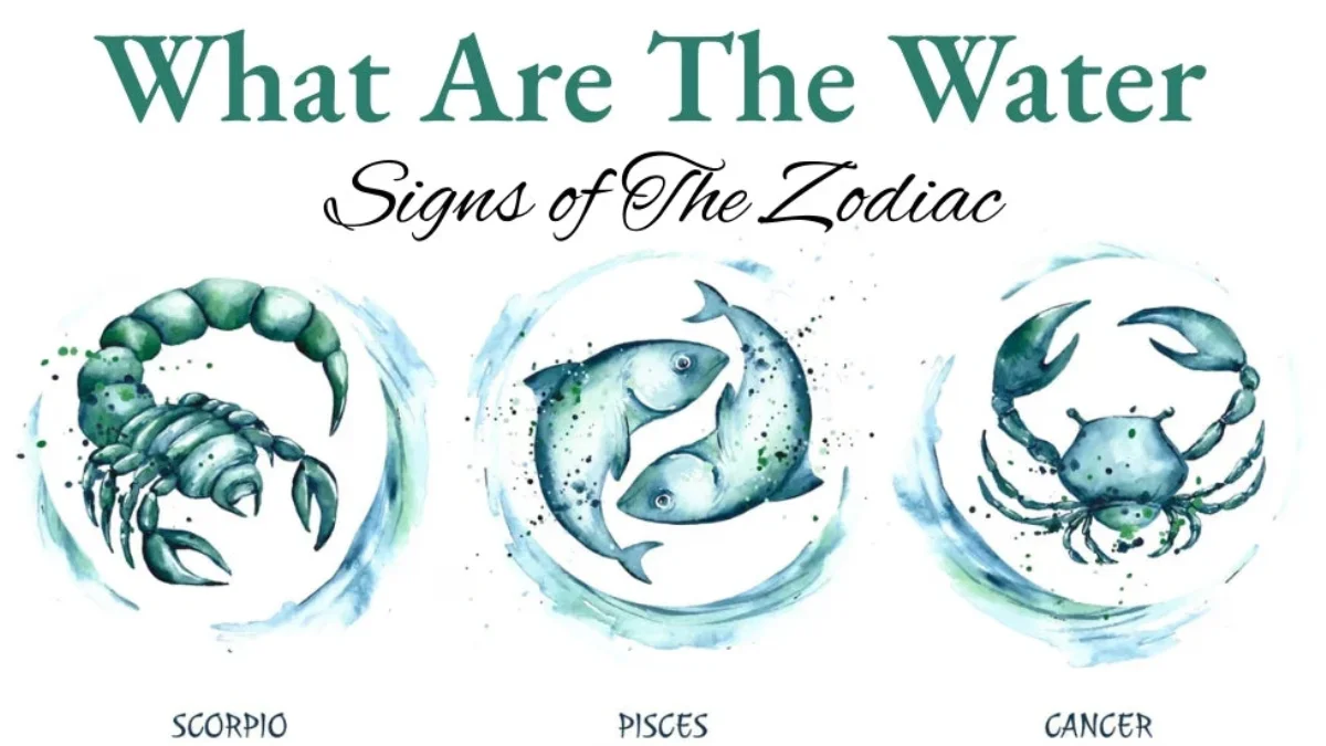 Water Signs of the Zodiac: Cancer, Scorpio and Pisces Explained